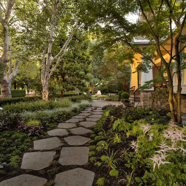 ground covers