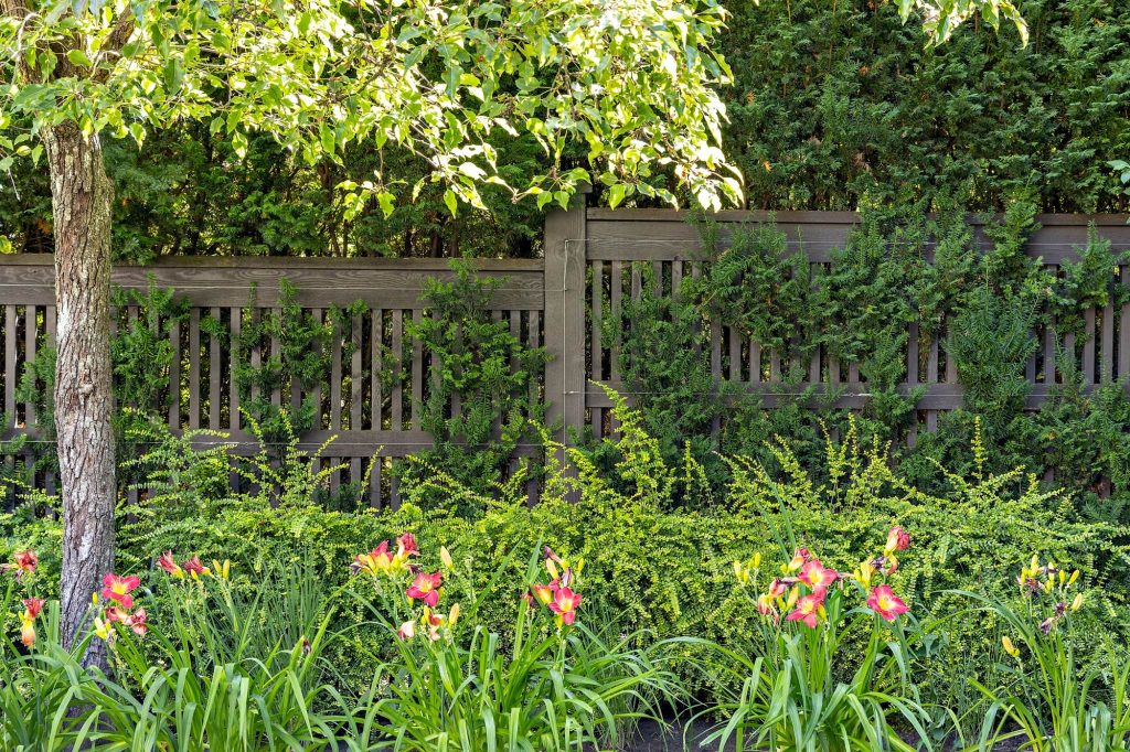 Naturalized layered planting with spring bulbs - Swick's Landscaping Ltd.