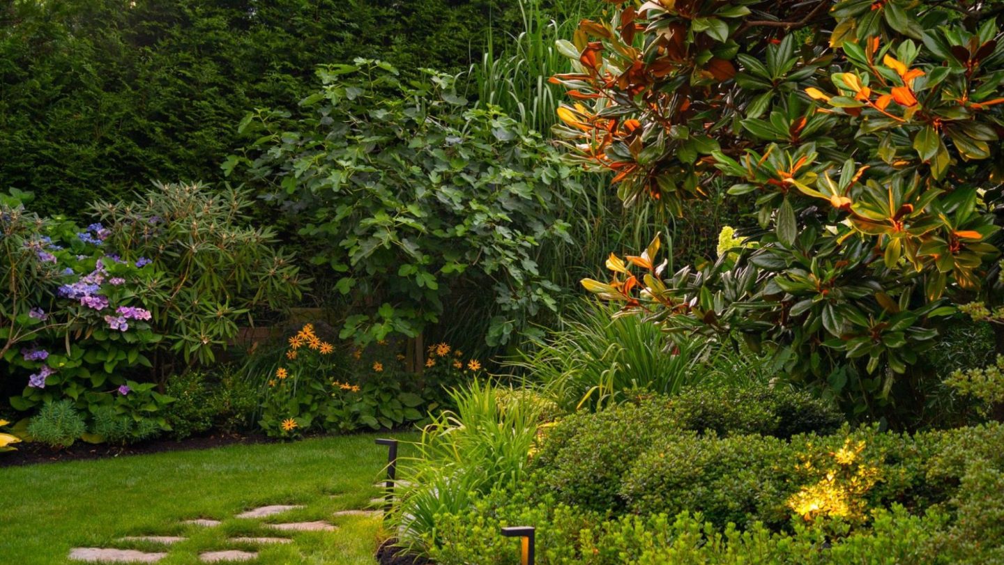 layered planting vancouver gardens