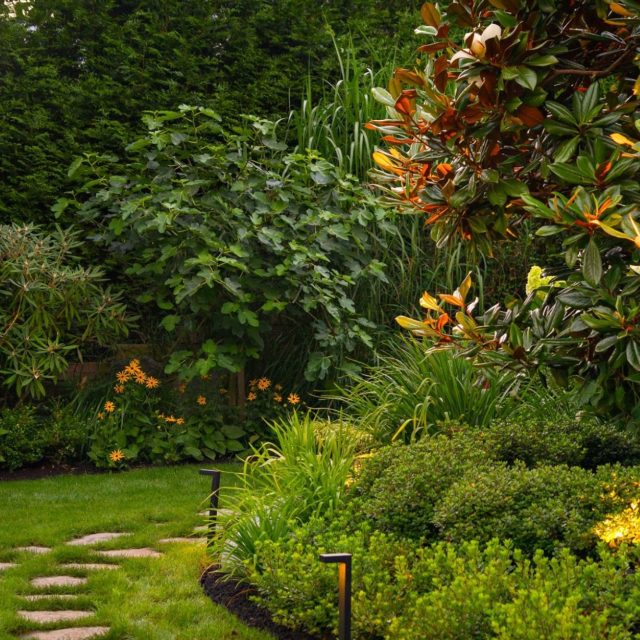 layered planting vancouver gardens