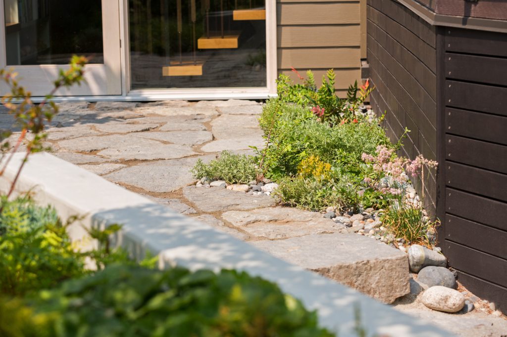 native planting - Swick's Landscaping Ltd. native planting