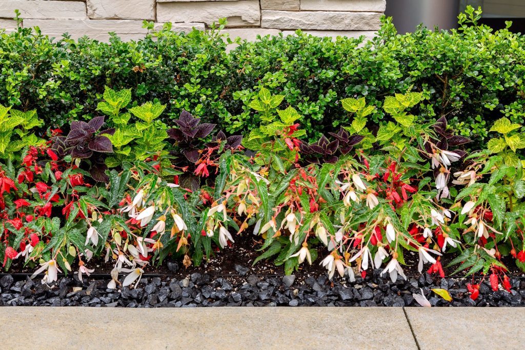 spring garden swicks landscaping - Swick's Landscaping Ltd.