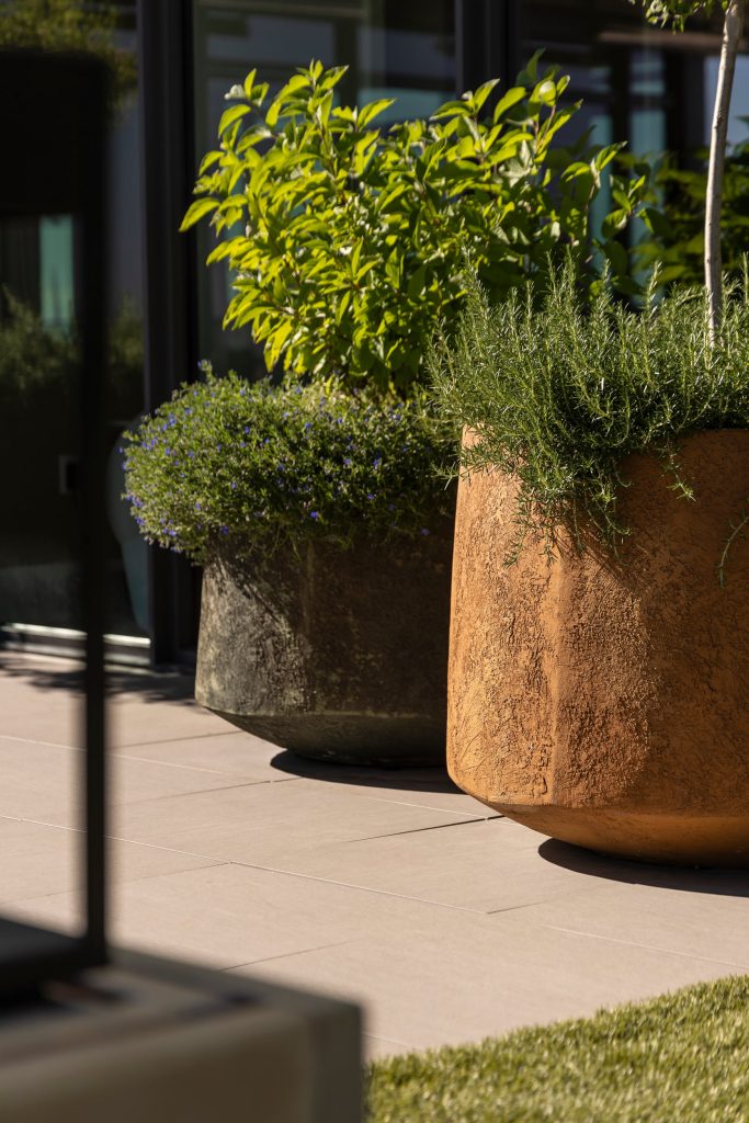 Swicks_3101_Burfield_Web-11-7025 - Swick's Landscaping Ltd. Outdoors: two large planters on a tiled patio, one with a rosemary plant and the other with a purple-flowered shrub, against a modern glass building backdrop.