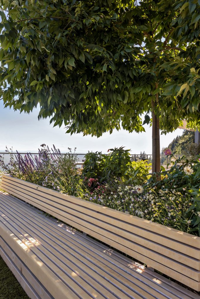 Swicks_3101_Burfield_Web-6-6971 - Swick's Landscaping Ltd. Wooden slatted bench beside a flower bed under a lush green tree in a sunny outdoor setting.