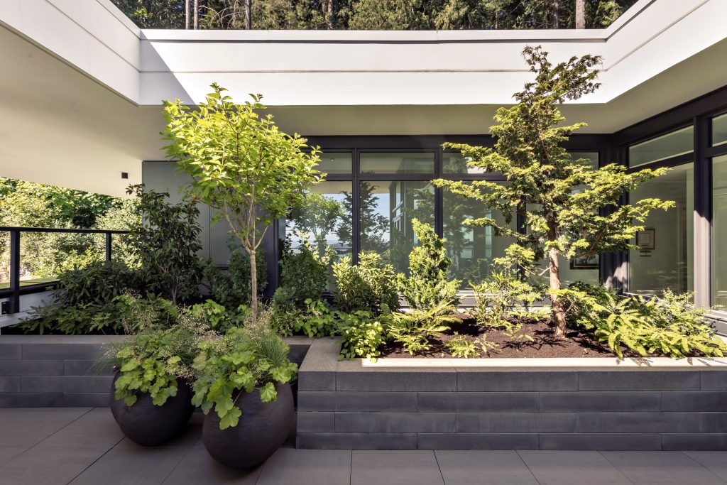landscape softscape - Swick's Landscaping Ltd. Courtyard garden beside a modern building with large black-framed glass doors and lush potted trees and shrubs.