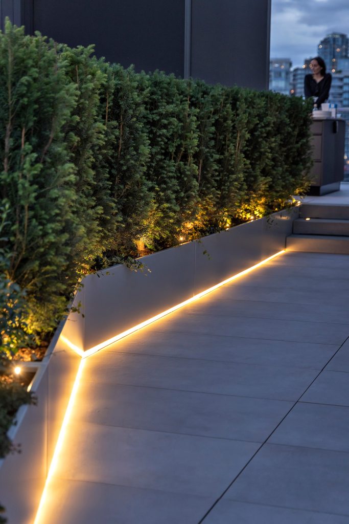 Swicks_918_Cooperage_Web-21-1881 - Swick's Landscaping Ltd. Rooftop garden with tall evergreen hedges along a white planter, illuminated by warm strip lighting at ground level; city skyline in the background.