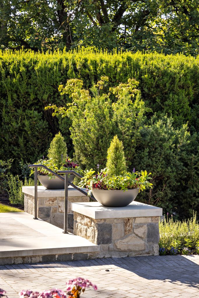 Stone terrace with two large round planters of leafy plants atop a stone pedestal, metal railing, and a dense green hedge behind them.