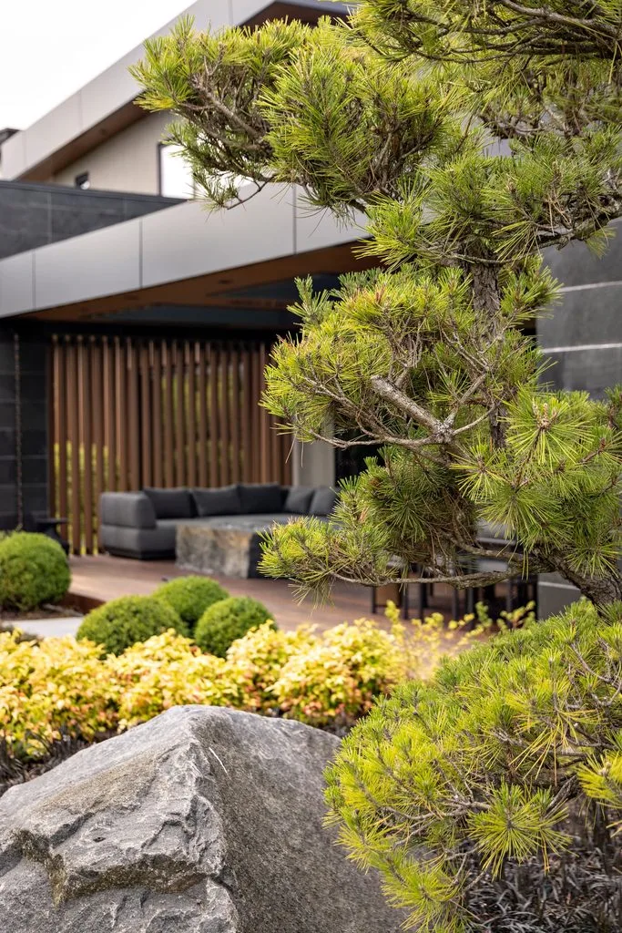 Swicks_4280_River_Web-14-8005 - Swick's Landscaping Ltd. Foreground of a pine tree with lush green needles near a modern building and rocky garden features in a landscaped courtyard.