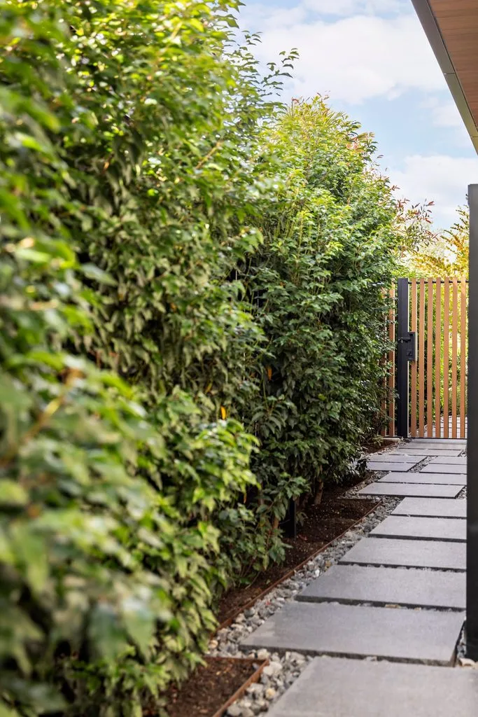 Swicks_4280_River_Web-5-7974 - Swick's Landscaping Ltd. Tall green hedge along a modern walkway with square concrete stepping stones and gravel, leading to a wooden slat gate under a blue sky.
