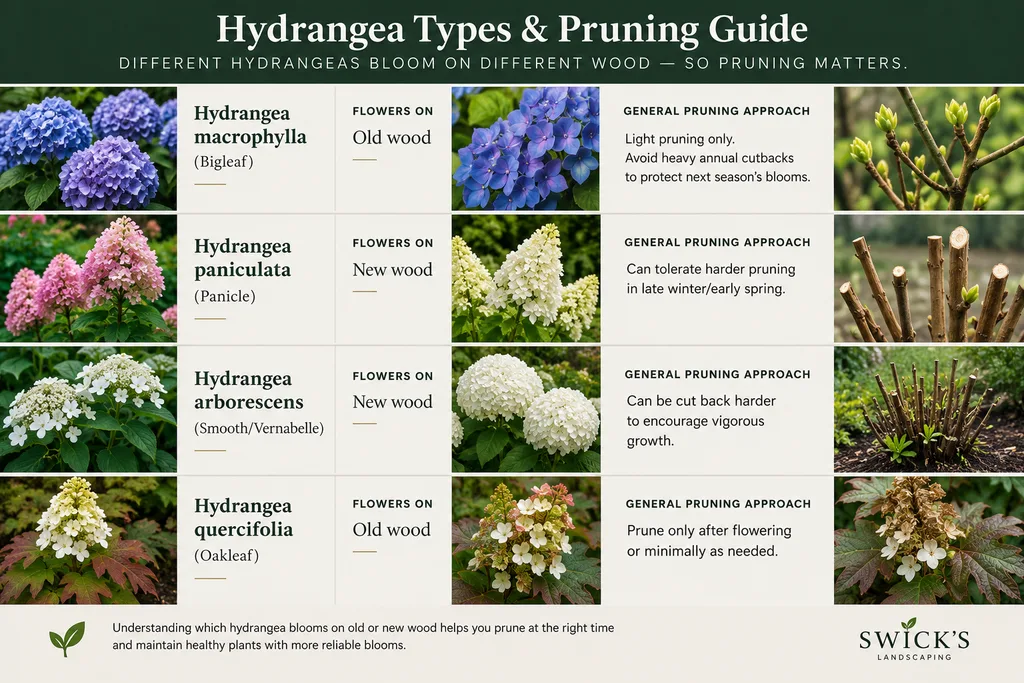 image - Swick's Landscaping Ltd. pruning guide